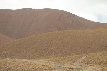 Fototapeta na wymiar desert road in an amazing landscape