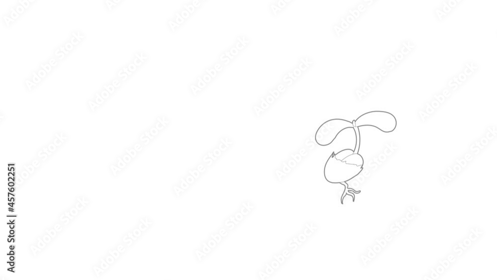 Poster sprout growing from seed icon animation best outline object on white background