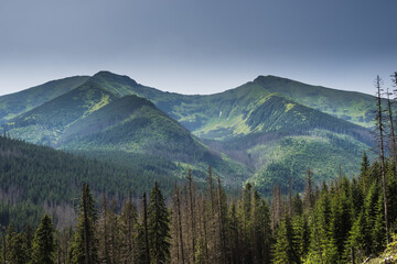 Obraz premium activity, ciemniak, europe, green, hiking, hill, view of the Red Peaks in the Tatra Mountains from the Iwanicka pass