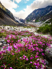 Tsey glacier in North Ossetia-Alania, Russia - North Ossetia State National park