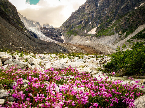 Tsey glacier in North Ossetia-Alania, Russia - North Ossetia State National park