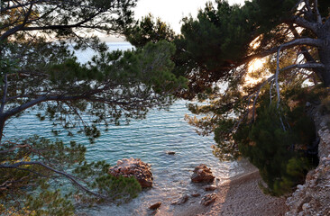 Picturesque bay with rocky shores and beautiful pine trees on the Adriatic coast at sunset