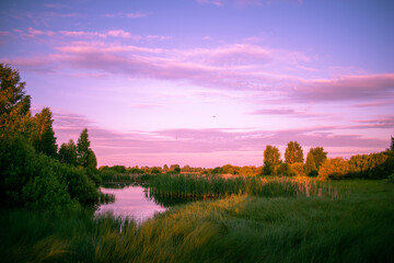 gentle sunrise over the lake in summer
