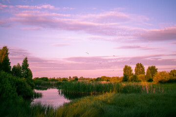 Fototapeta na wymiar gentle sunrise over the lake in summer