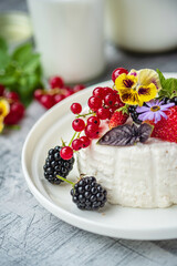 Vegan country cheese dessert with yogurt, berries and red currants.