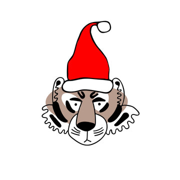 Christmas sticker of character of tiger in new year red cap drawn by hand in doodle style isolated on white. Animal symbol of Chinese New Year 2022. Sticker, clip art, package, postcard, poster.