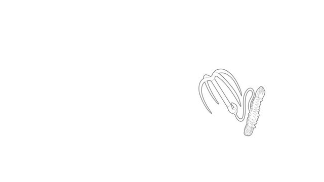 Spy equipment icon animation best outline object on white background
