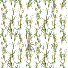 Watercolor bamboo seamless pattern. Hand painted nature surface design. Repeating texture on white background.
