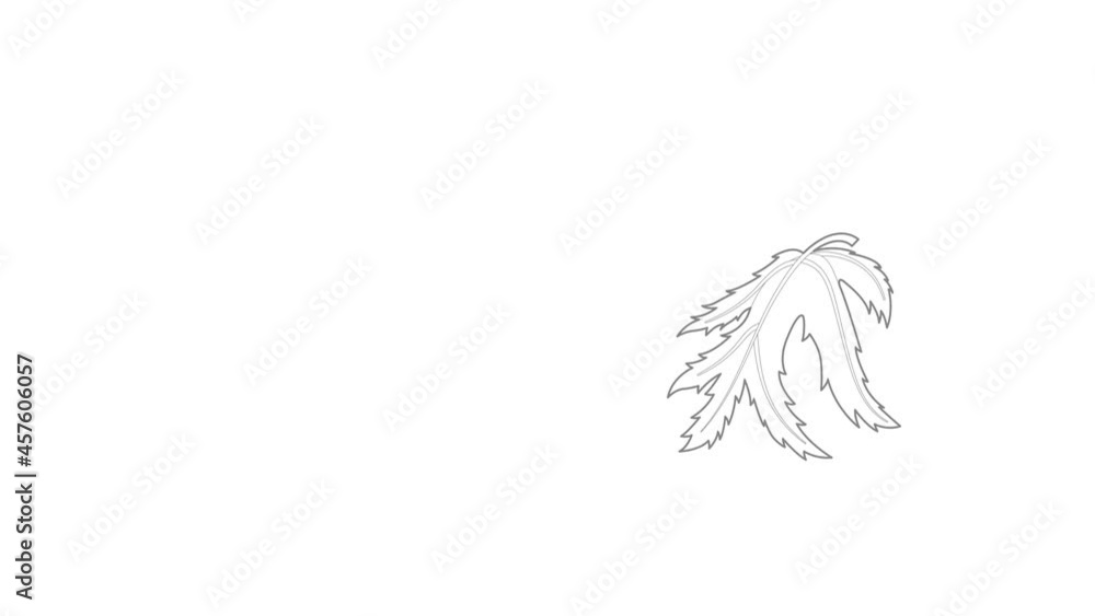 Poster leaf icon animation best outline object on white background