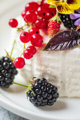 Vegan country cheese dessert with yogurt, berries and red currants.