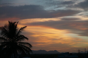 ORANGE SKY AND PALM TREE