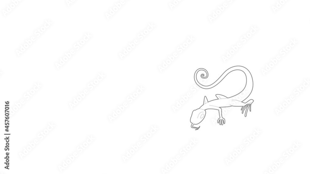 Poster lizard icon animation best outline object on white background