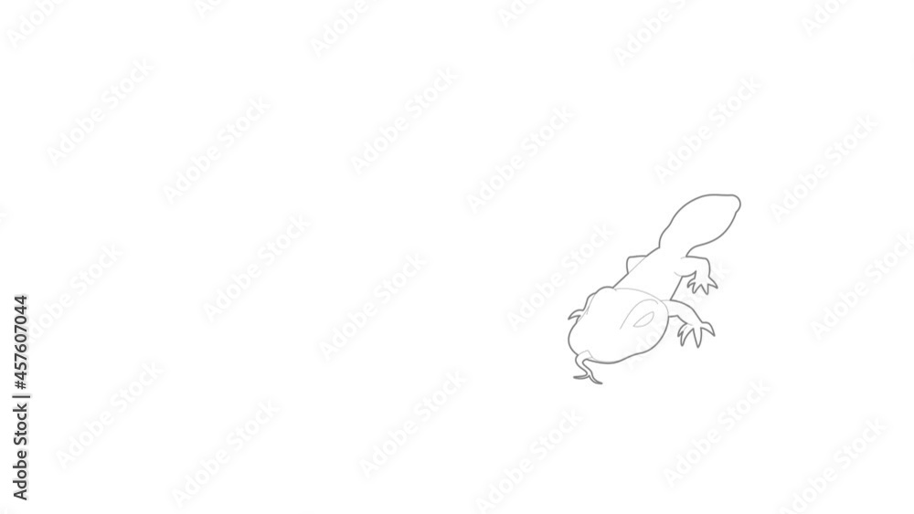 Aufkleber spotted lizard icon animation best outline object on white background