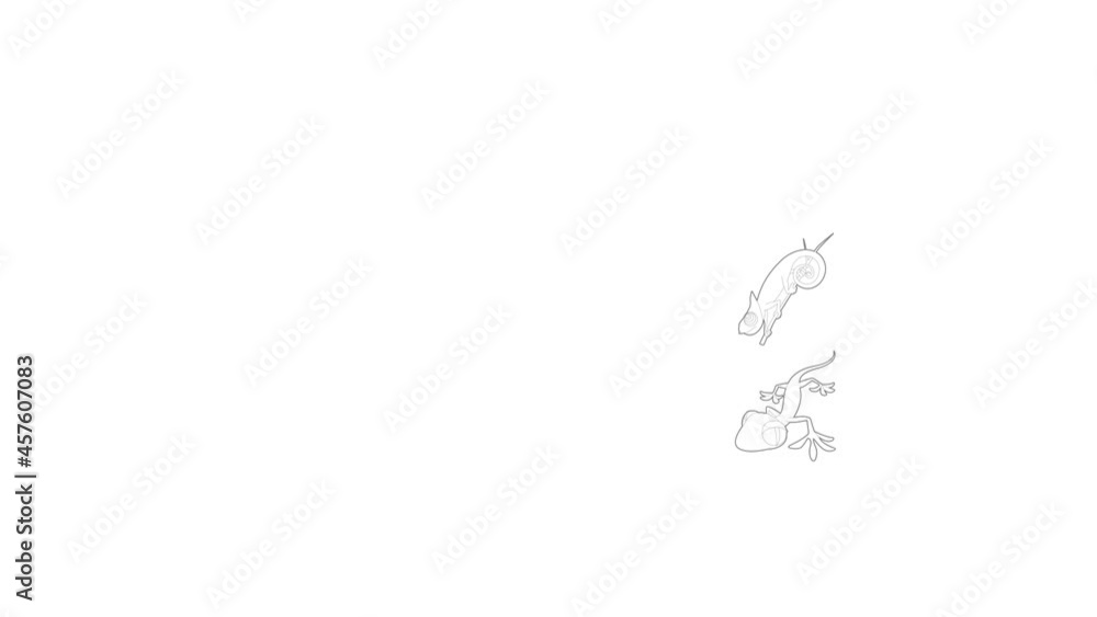 Aufkleber lizard icon animation best outline object on white background