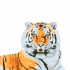 Tiger vector isolated on white background. Lying realistic tiger close-up. Symbol of 2022.