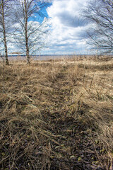 Fototapeta premium the summer beautiful volga riverside