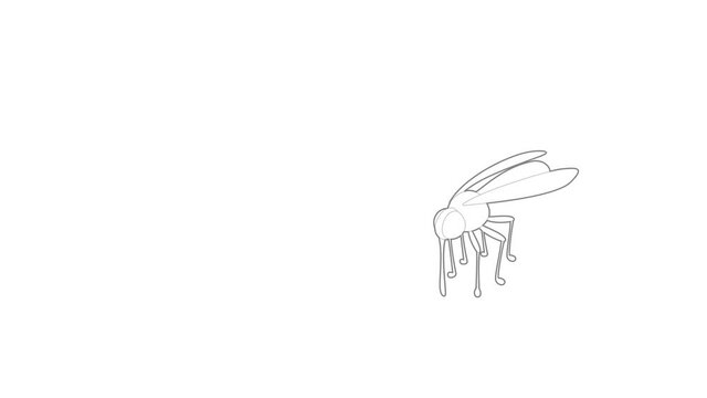 Mosquito icon animation best outline object on white background