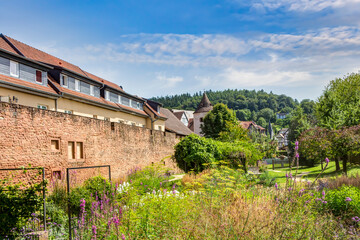 Fototapeta premium Alte Stadtmauer in der historischen Altstadt von Büdingen im Wetteraukreis, Deutschland