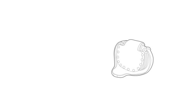 Woman handbag icon animation best outline object on white background
