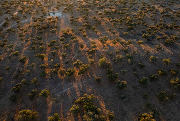 Landscape in Dehesa de la Luz. Extremadura. Spain.