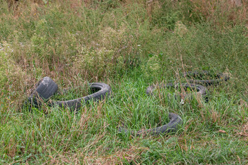 tires in the grass