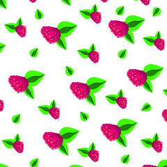 Raspberry berry pattern, many berries
