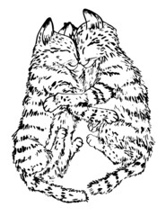 cute kittens cuddle, lie and smile, handmade black and white drawing