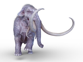 Obraz premium マンモス