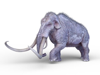 Obraz premium マンモス