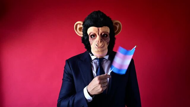 Businessman with monkey mask and waving transgender flag