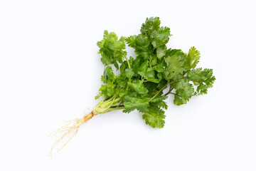 Fresh coriander leaves on white background.