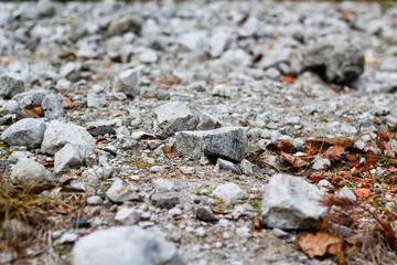 Defocus many crushed stones in mound or memorial. Gravel of jews people. White rock, minerals, archeology, excavations. Outdoor, outside, close-up. Dry leaves. Out of focus