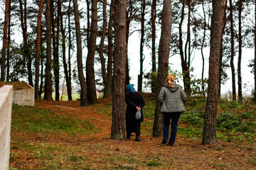 Defocus back view of two woman walking in pine forest. Mushroom picking season, leisure and people concept, mother and daughter walking in fall forest. People lost. Overall plan. Out of focus