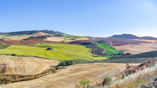 Paisaje r&uacute;stico t&iacute;pico del campo tradicional con parcelas de tierra cultivadas de distintos colores un d&iacute;a soleado con cielo azul.