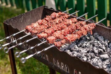 shish kebab on the grill