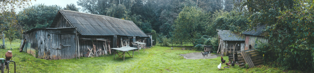 Panorama of an old rural wooden gray house and outbuilding. Household, chickens, a dog on a chain...