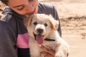 Portrait of a girl holding her puppy on the beach.