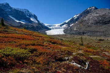 Fotobehang The spectacular panorama, the dramatic mountain terrain and the fall color of high alpine flora give the Athabasca Glacier along the Columbia Icefield a heavenly beauty © Ferenc