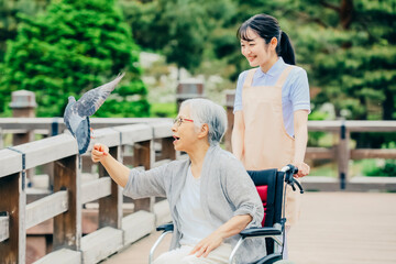 公園で散歩する高齢者と医療スタッフ（アニマルセラピー）
