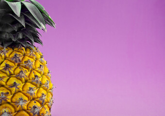 Pineapple, juicy tropical summer fruit against purple violet viola texture abstract background....