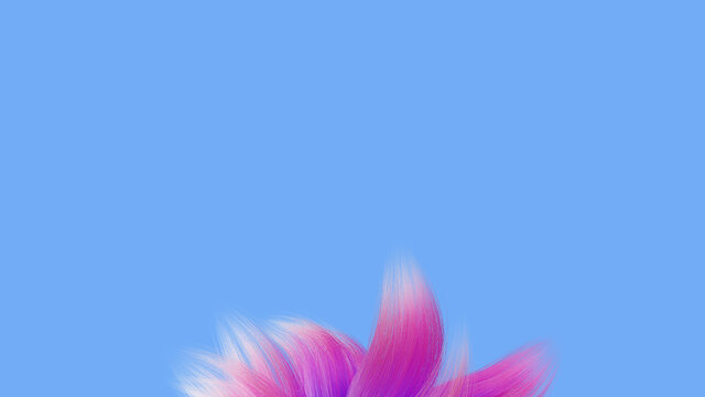 Shaggy abstraction, 3d render. Multicolored flower. Pink fluffy abstract in the form of petals isolated on a blue background. Shaggy Flower petals, 3d
