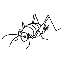 カマドウマ