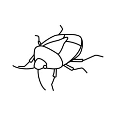 カメムシ