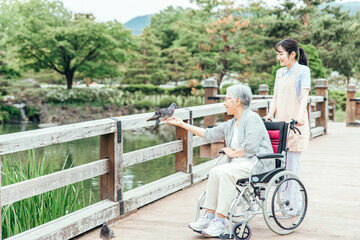 公園で散歩する高齢者と医療スタッフ（アニマルセラピー）
