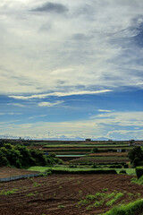 横須賀市津久井 青空と雲と農園の風景