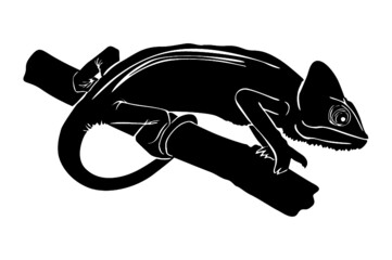 chameleon Silhouette