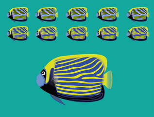 Animal Animation Sequence Emperor Angelfish Swimming Cartoon Vector