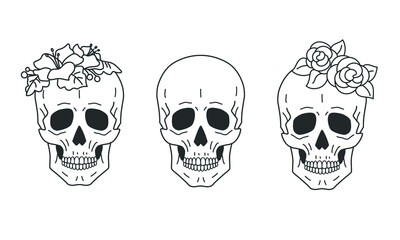 Set of skulls executed in a linear fashion. Some of them are decorated with flowers.