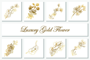 Collection luxury gold flower element line art illustration
