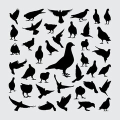 Dove Silhouette. A set of dove silhouettes